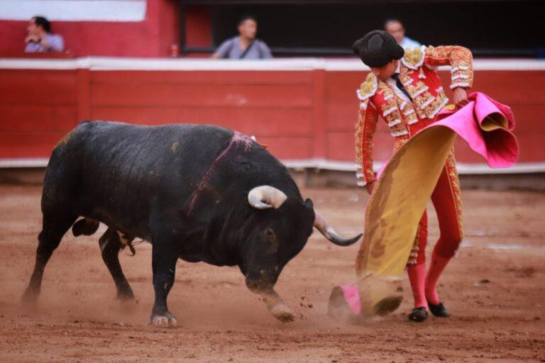 Imagen: Toros regresan a Pachuca en el Vicente Segura con función confirmada este sábado