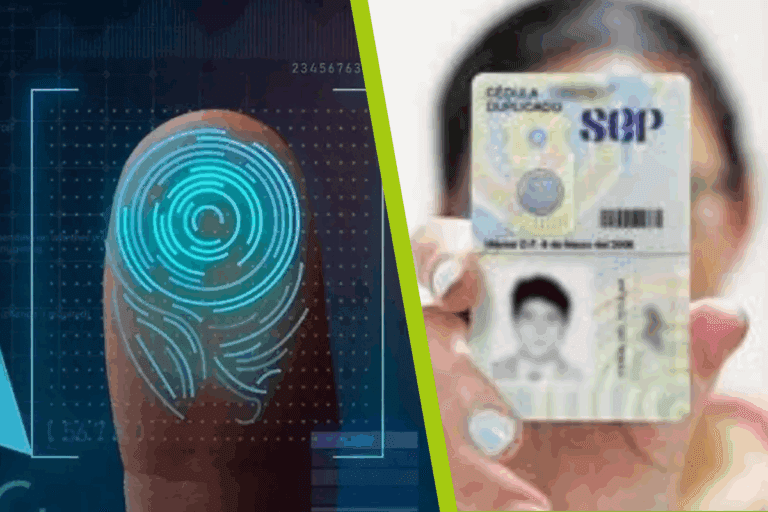 Imagen: Cédula profesional deja de ser documento de identificación oficial; impulsan uso de la CURP biométrica