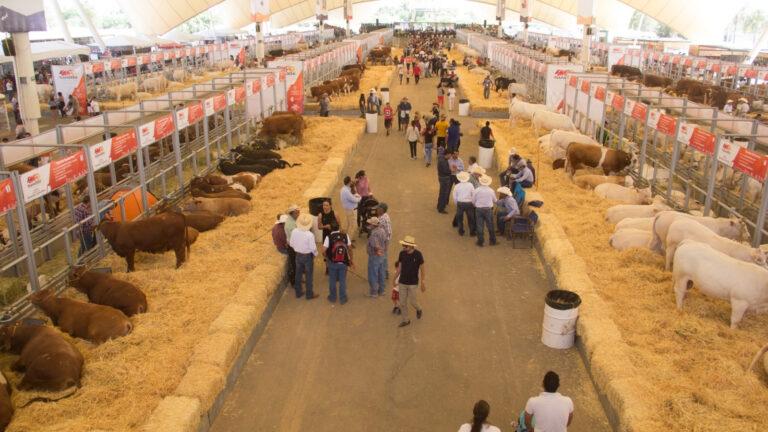 Imagen: Todo sobre la Ganadera Hidalgo 2026: precios, boletos, conciertos y actividades