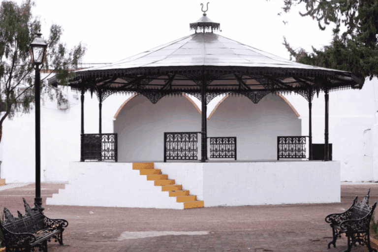 Imagen: Pachuca: Estas fueron las razones para rehabilitar el Jardín del Arte