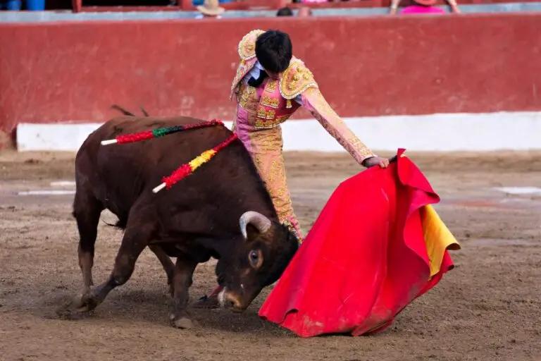 Imagen: Tauromaquia en Hidalgo: entregan firmas para frenar su prohibición en el Congreso