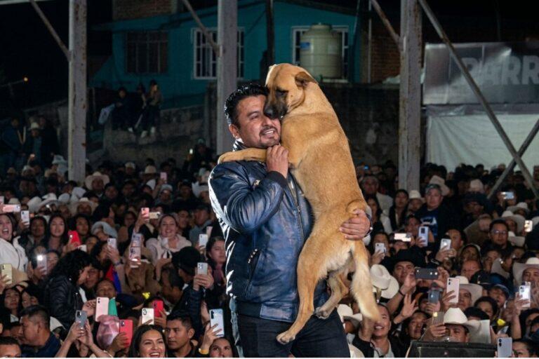 Imagen: VIDEO: Alcalde de Zacualtipán baila con lomito en plena feria de Hidalgo