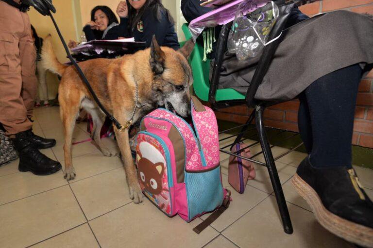 Imagen: Operativo Mochila en Hidalgo podría ser constante ante aumento de violencia escolar