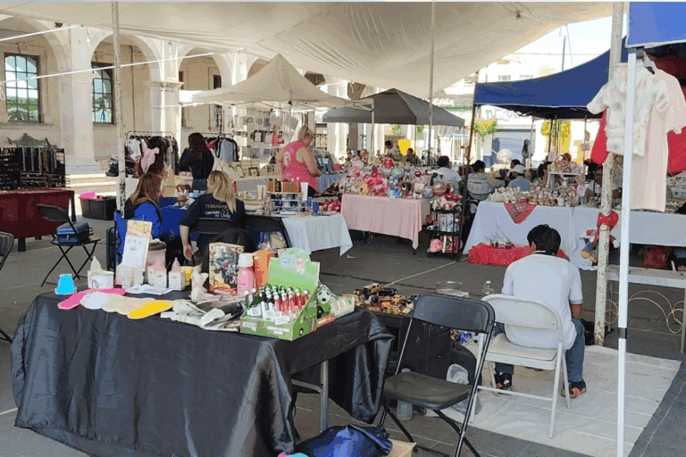 Imagen: Actopan: Con bazar, buscan abrir nuevos espacios para la actividad económica local