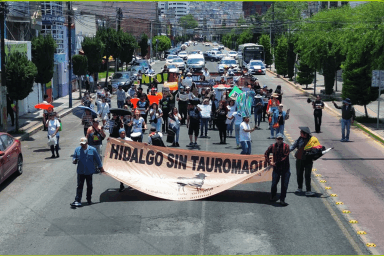 Imagen: Consulta taurina llega a tribunales en Hidalgo; buscan tumbar decisión del Congreso local