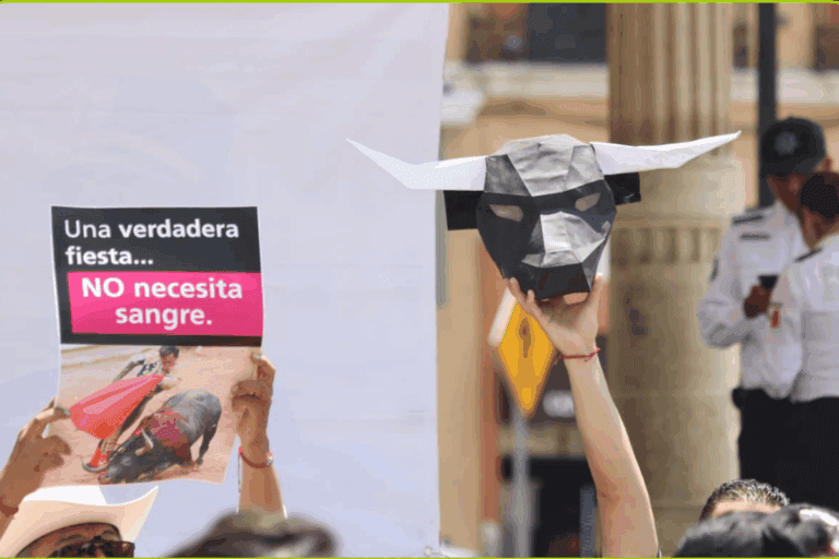 Imagen: “Una verdadera fiesta no necesita sangre”: marchan en Pachuca contra la tauromaquia
