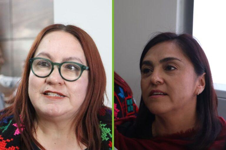 Imagen: ¿Coincidencia? Auditan a diputadas que mostraron apoyo a la Fundación Arturo Herrera