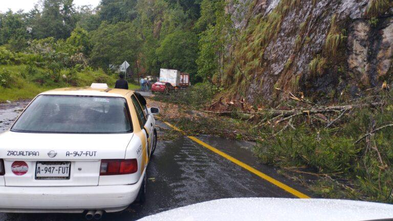 Imagen: Lluvias provocan derrumbes, caída de ramas y apagón en la Sierra Alta de Hidalgo