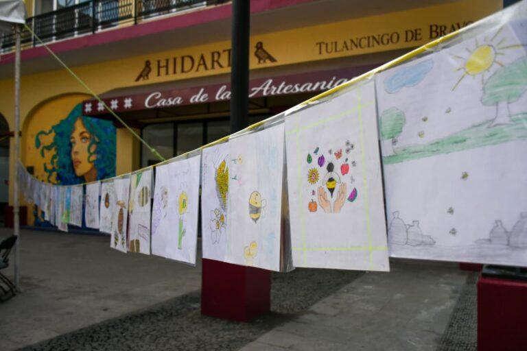 Imagen: Fomentan cuidado de abejas en Tulancingo