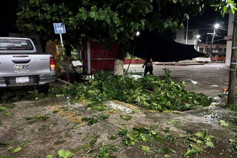 Imagen: Tormenta colapsa vialidades y deja daños en municipios de Hidalgo
