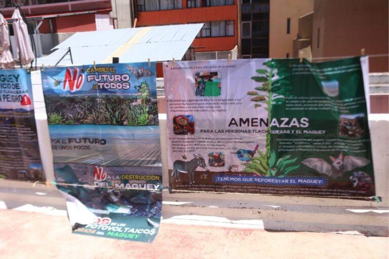 Imagen: Activistas rechazan nuevo parque solar en Hidalgo; alertan por impacto ambiental