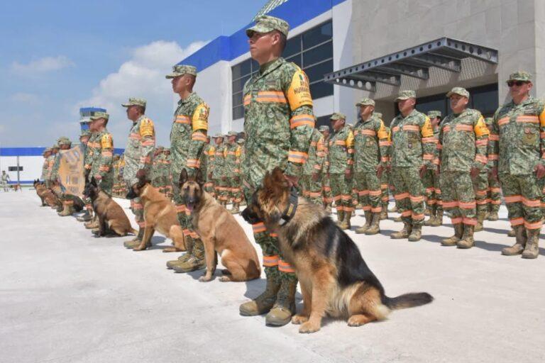 Imagen: México ya está con Venezuela, con binomios caninos, el Ejercito y los Topos