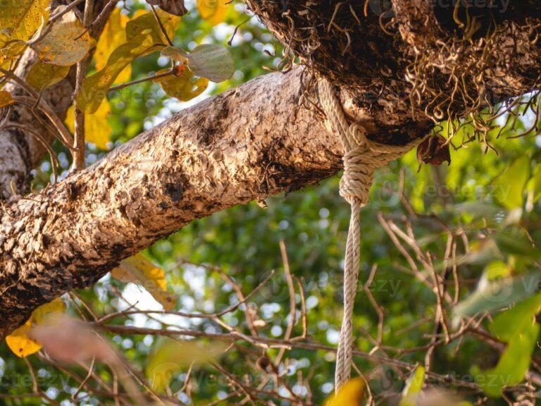 Imagen: Hombre se suicidó en inmediaciones de panteón de Hidalgo; se colgó de un árbol