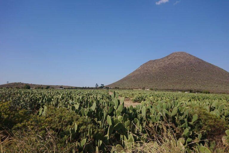 Imagen: No te pierdas la caminata al cerro El Tecajete en Zempoala: fecha, ruta y recomendaciones