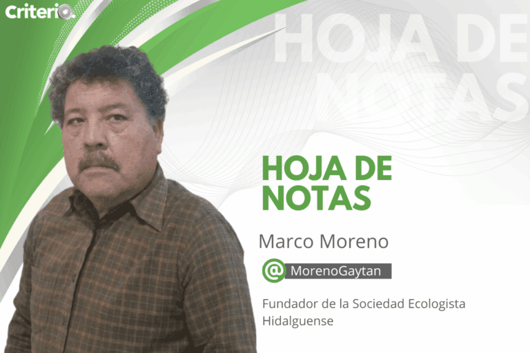 Imagen: Mirar con atención y la posibilidad de ser una sociedad donde todos tengamos un lugar