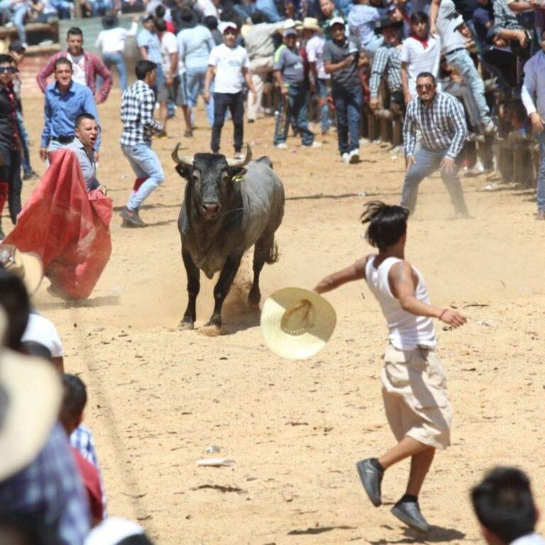 Imagen: Todo listo, para la feria de Santiago Apóstol