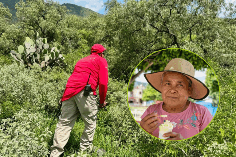 Imagen: Lenis sigue desaparecida; amplían búsqueda en Ajacuba con apoyo de municipios vecinos