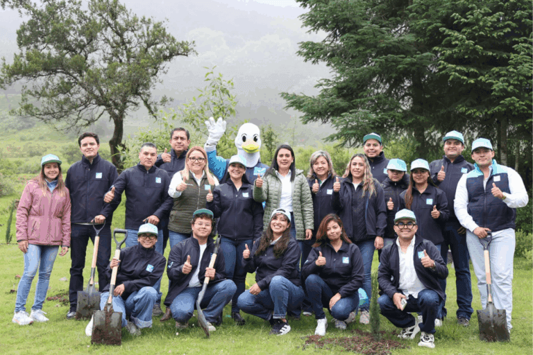 Imagen: Nueva Alianza Hidalgo impulsa jornadas de reforestación como muestra de su compromiso ambiental